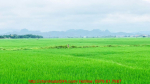 Nguyễn Văn Hoan